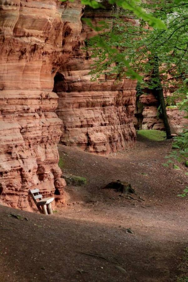 Suite Spa Privatif Verte Vallee, Sejour Zen Meisenthal المظهر الخارجي الصورة